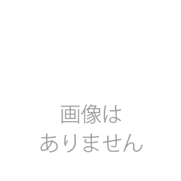 太麺詰合せ・緒環　化粧箱入(太麺50g×10束/緒環50g×10束)(商品記号:FO-28)